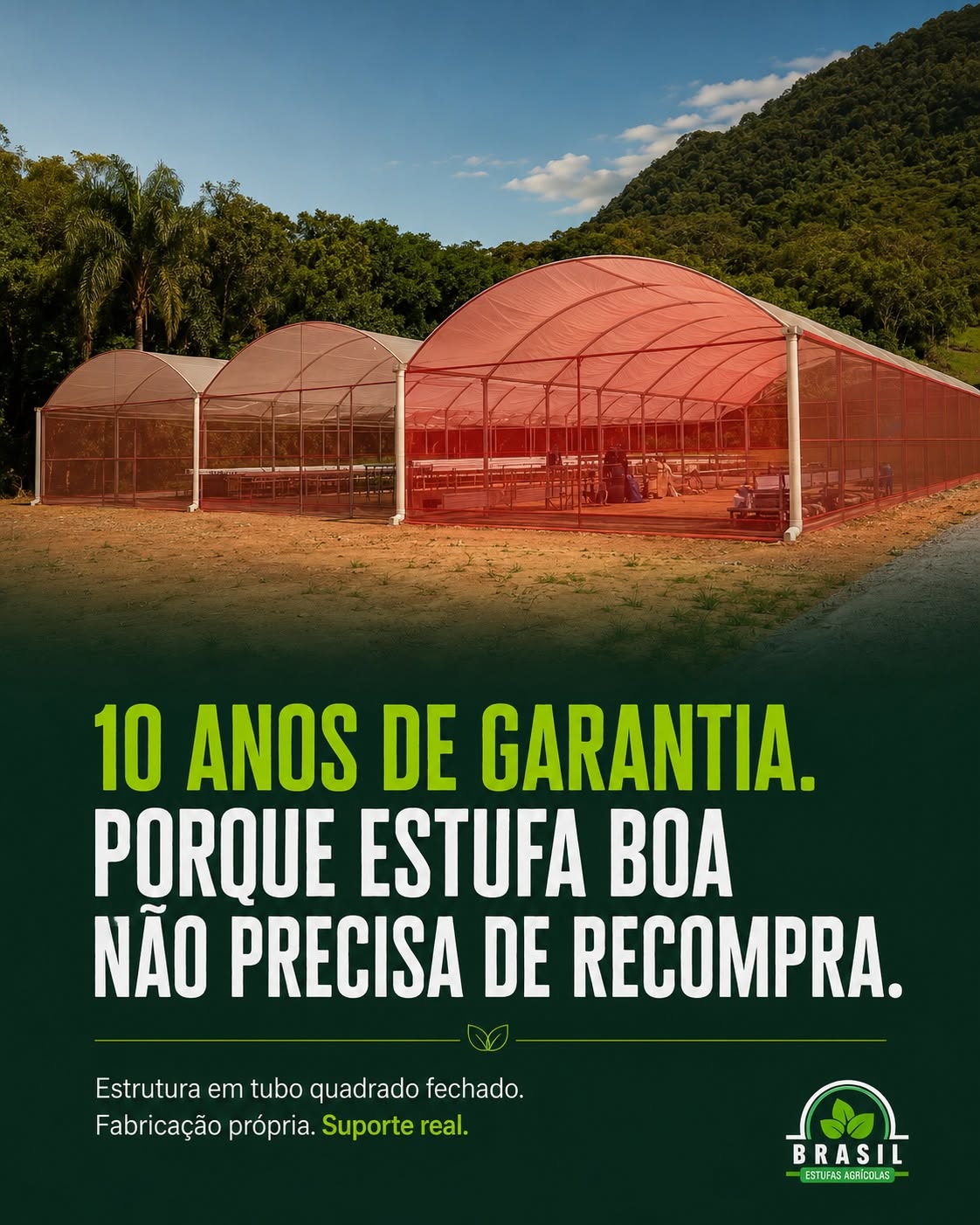 Estufa agrícola de alta qualidade com tela, ideal para HIDROPONIA, PISCIULTURA, FLORES. Estrutura com 10 anos de garantia. 