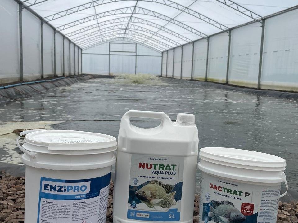 Tanque 01 em Rolante/RS: estufa, geomembrana e aeração por mangueiras porosas, com Enzipro Nitro, Nutrat Aqua Plus e Bactrat P usados no protocolo.