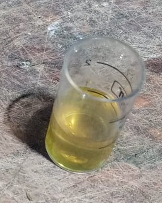 Tubo de teste de amônia amarelo-claro, indicando amônia zerada