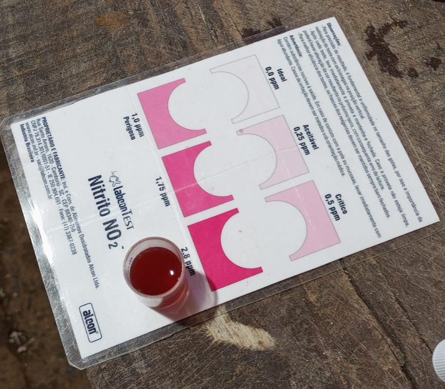 Teste colorimétrico de nitrito com cor vermelha forte, acima da última faixa da cartela